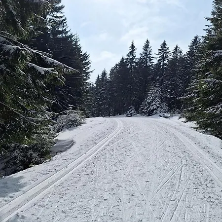 Apartment Sunny - Blizej Zdroju *