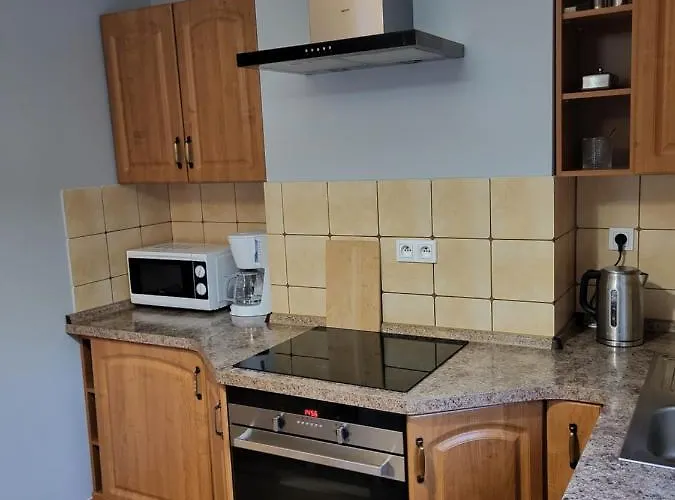 Sunny - Blizej Zdroju Apartment Bad Altheide