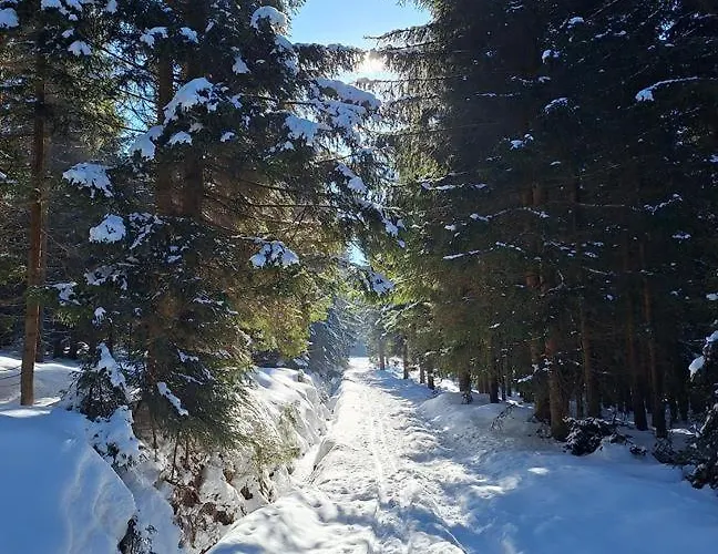 Sunny - Blizej Zdroju Bad Altheide