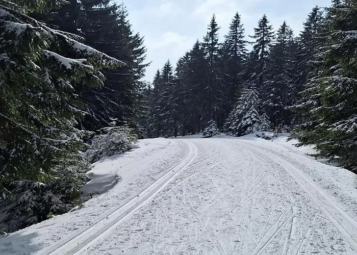 דירה Sunny - Blizej Zdroju *